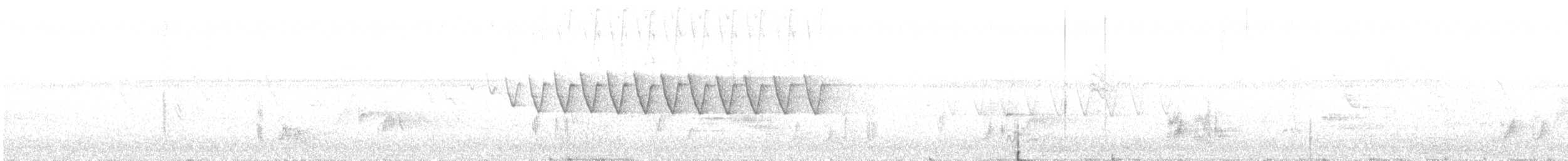 Oahu Amakihi - ML632488164