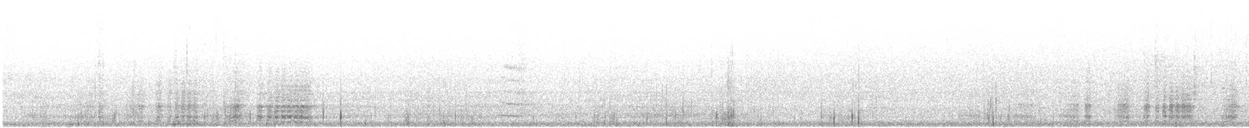 Ortalide à ventre blanc - ML632488208