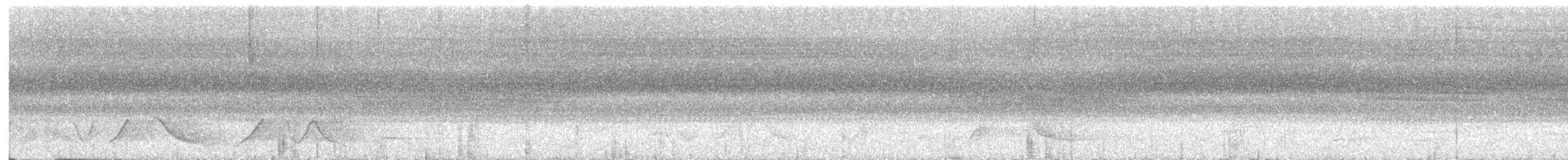 Grammatoptile strié - ML632488488