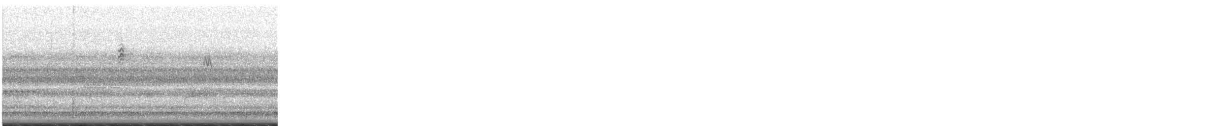 passerine sp. - ML632488686