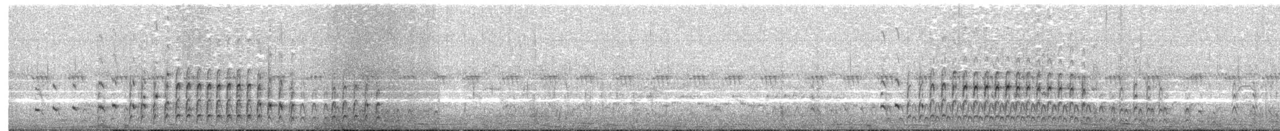 Txilinporta txikia - ML632489004