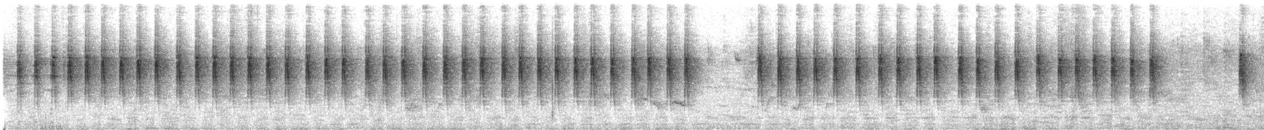 Singing Cisticola - ML632489150