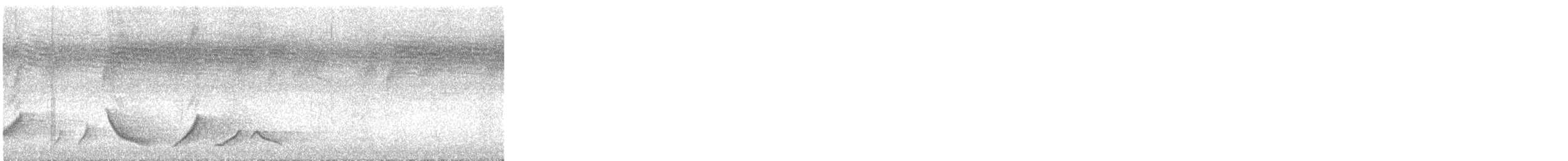 Grammatoptile strié - ML632491632