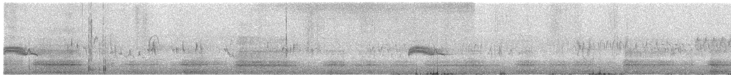Western Wood-Pewee - ML632493022