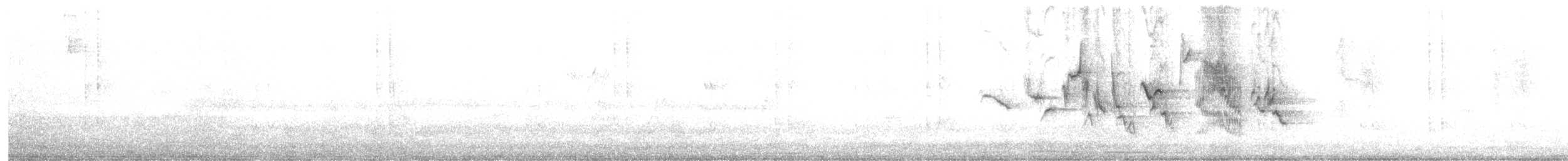 Sporophile à col double - ML632493570