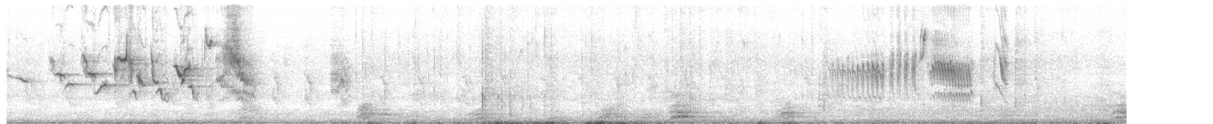 Sporophile à col double - ML632493571