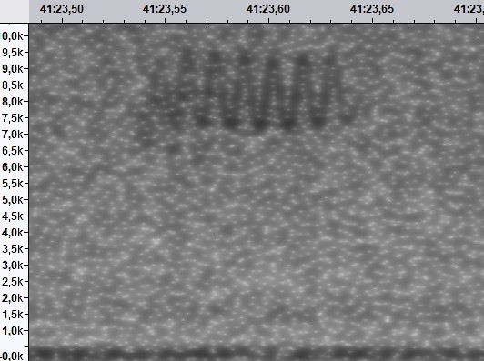 Indigo Bunting - ML632497333