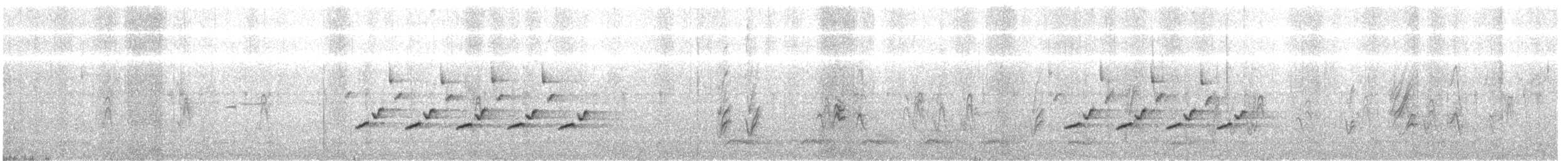 Cucarachero de Carolina - ML632503240