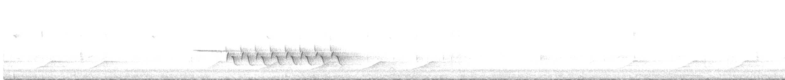 Chingolo de Bachman - ML632504713