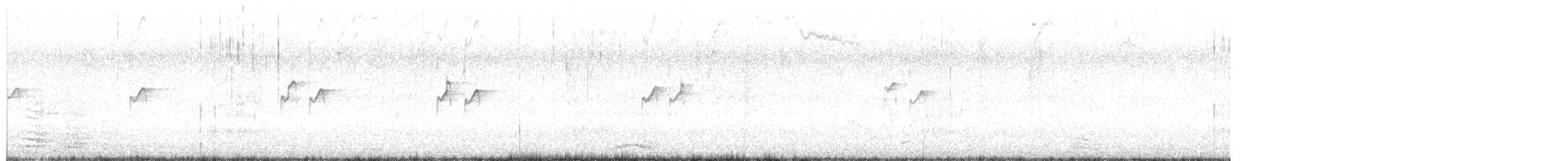 Solitary Sandpiper - ML632505629