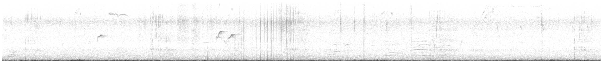 Solitary Sandpiper - ML632505661