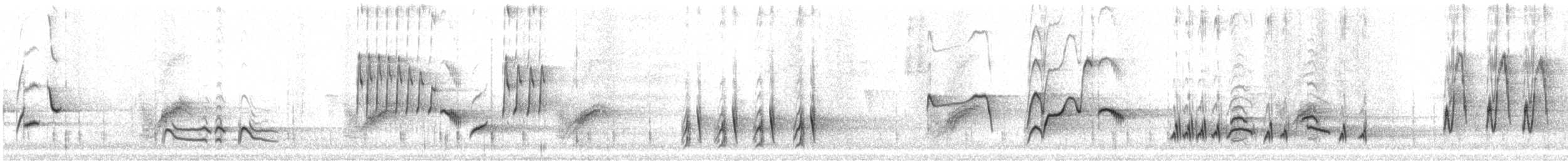 チャイロツグミモドキ - ML632509090