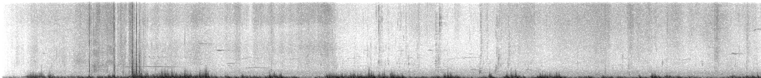 Black Scoter - ML632509572