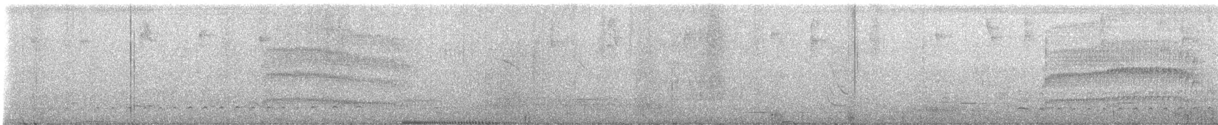 Pale-eyed Pygmy-Tyrant - ML632512580
