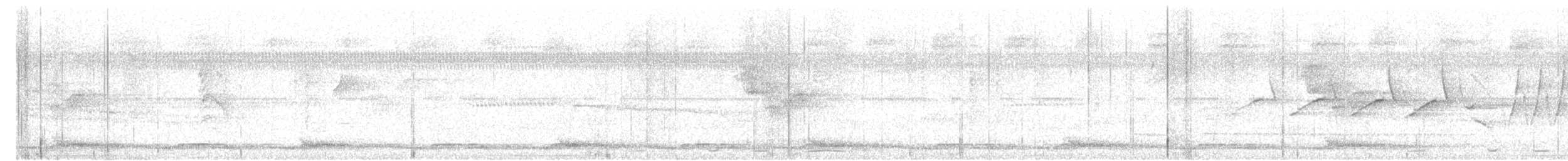 Spotted Wood-Quail - ML632517045