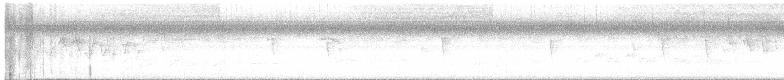 Magnolia Warbler - ML632517062