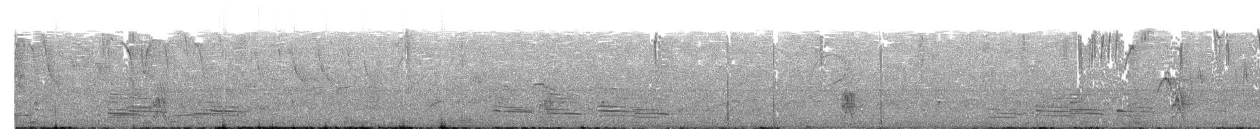 Ibis Rabudo - ML632522196
