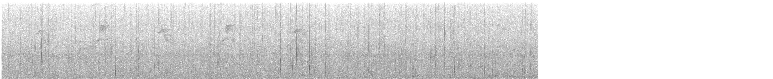 Tawny-bellied Hermit - ML632527053