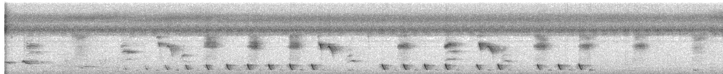 Jungle Nightjar - ML632529736
