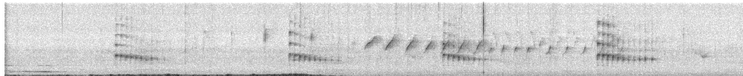 White-naped Woodpecker - ML632529875