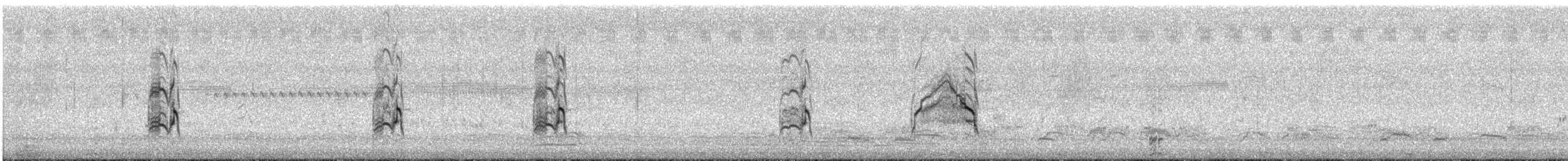 Sterne à longues pattes - ML632536937