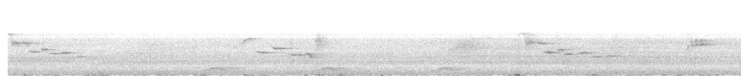Necklaced Barbet - ML632541080