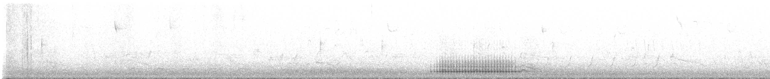 Pico Velloso - ML632544125