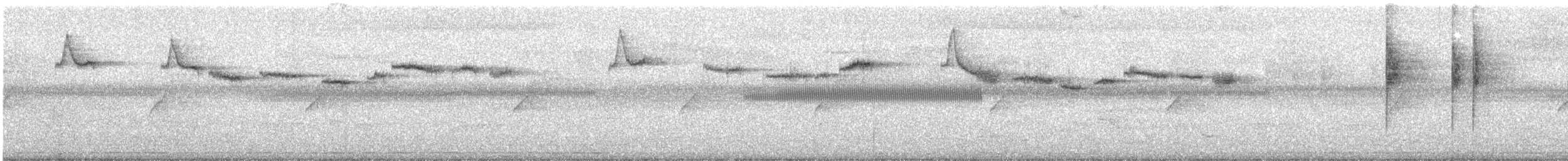 Dickichtschnäpper - ML632545023