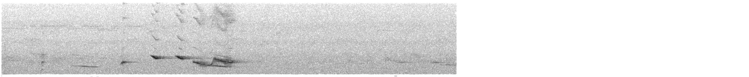 Isabela Oriole - ML632545493