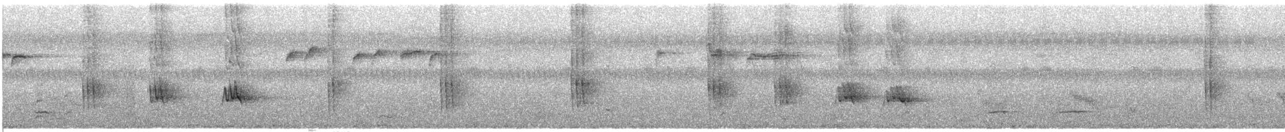 Isabela Oriole - ML632545495