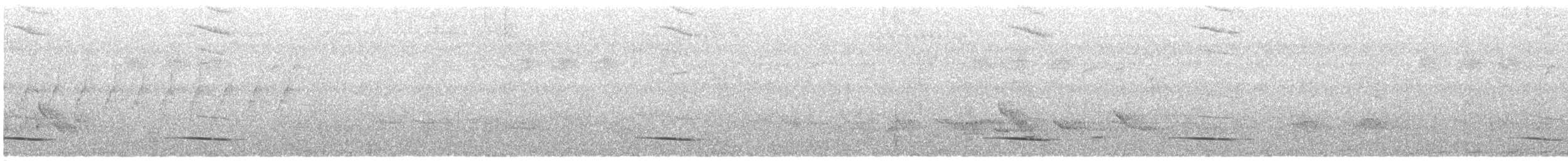 Isabela Oriole - ML632545496