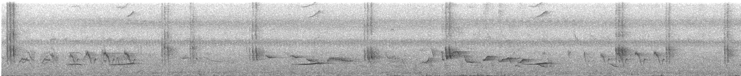 Isabela Oriole - ML632545497