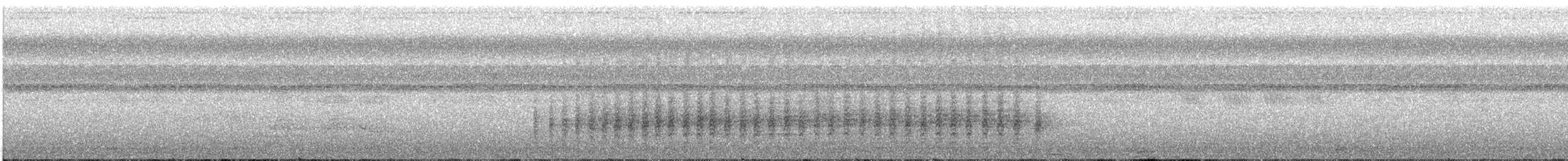 Black-and-white Triller (Northern) - ML632545879