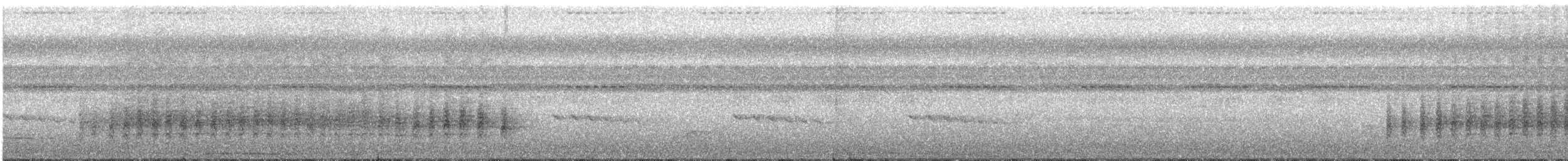 Black-and-white Triller (Northern) - ML632545880