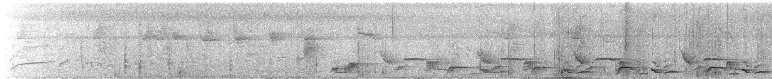 Song Wren - ML632545899