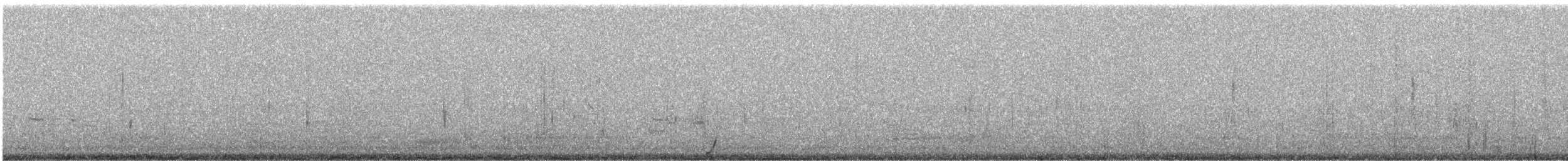 White Ibis - ML632545954