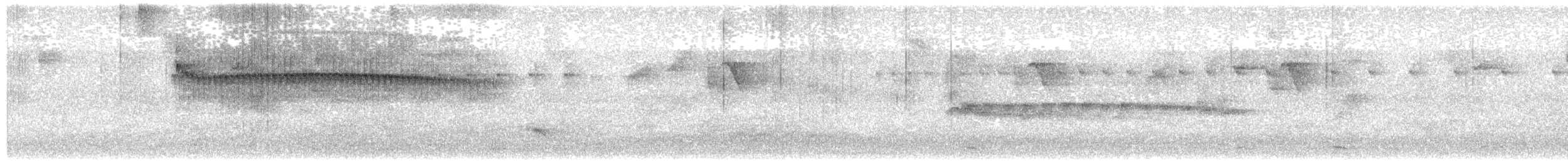 datlíček proužkobřichý - ML632546601