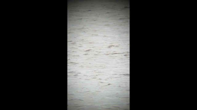 шумбуур - ML632547427
