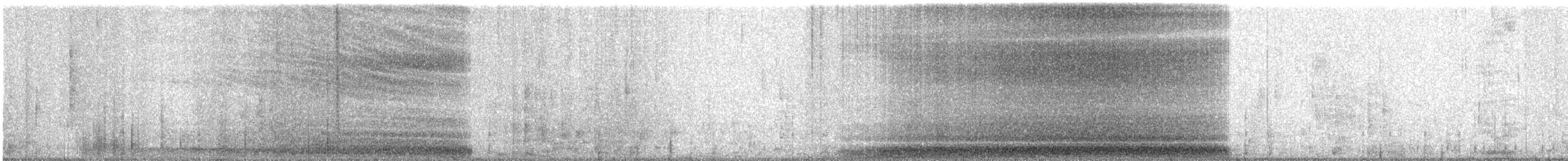 Aura Gallipavo - ML632548163