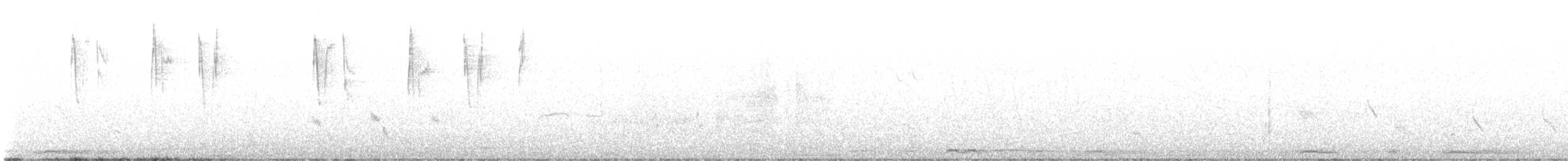 Colibri nain - ML632551223