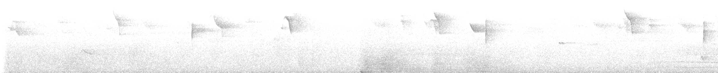 ヤジリアメリカムシクイ - ML632551889