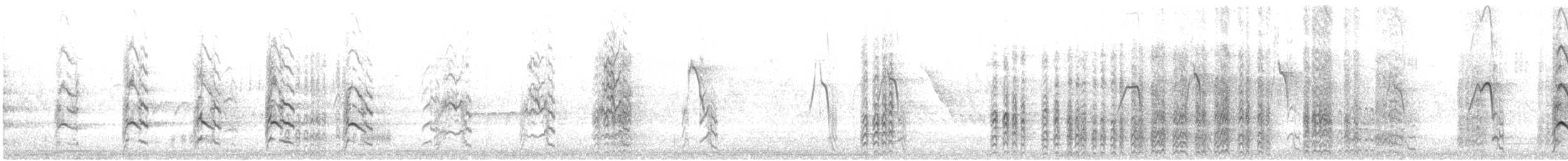 カタアカノスリ（elegans） - ML632555757