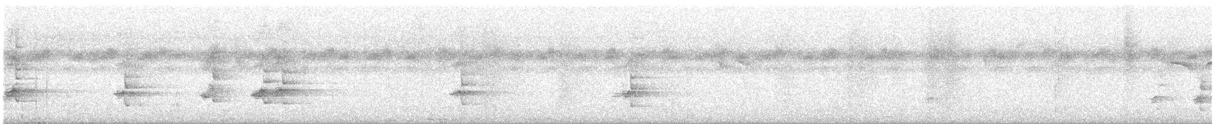 Rufipenne de Neumann - ML632564938