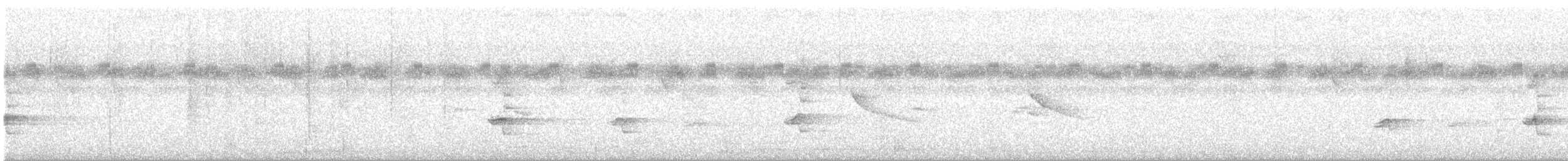 Rufipenne de Neumann - ML632564939