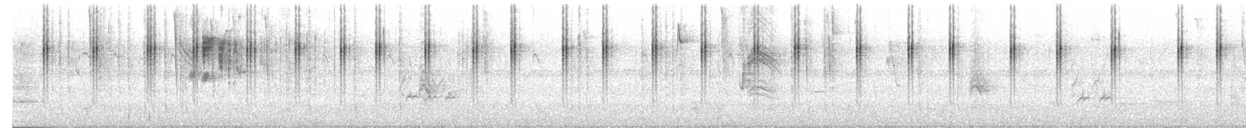 Colibri moucheté - ML632575013