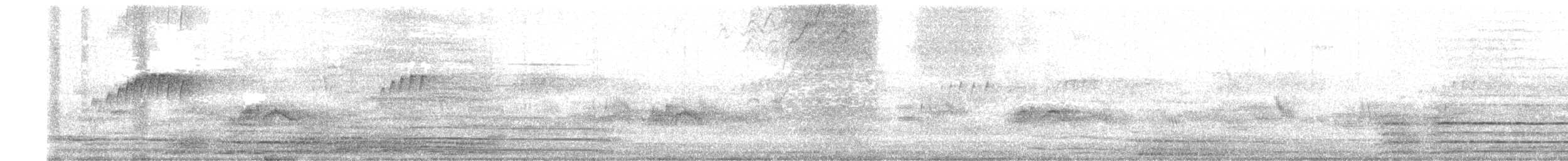 Social Flycatcher - ML632575252