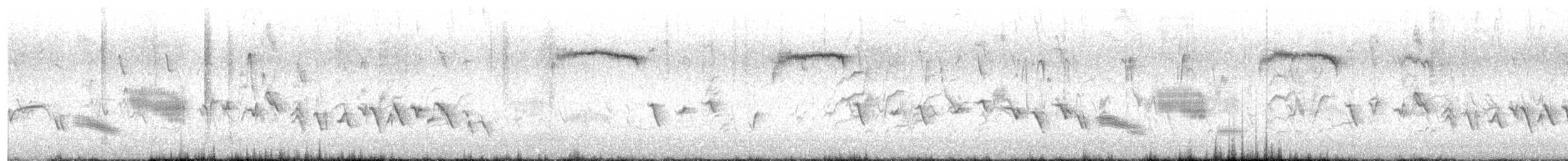 Ampelis Americano - ML632575918