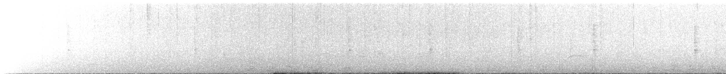 Copetón de Nutting/Salvadoreño - ML632577513