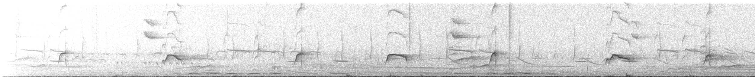 Copetón de Nutting/Salvadoreño - ML632579018