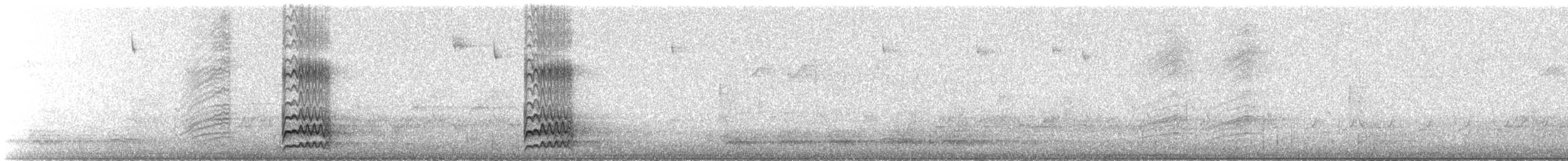 Red-bellied Woodpecker - ML632579382